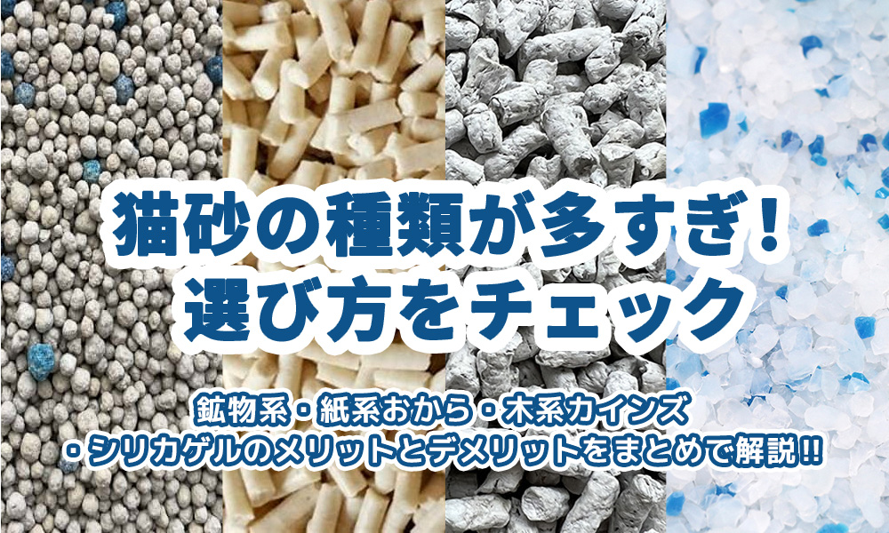 猫砂の種類が多すぎ！選び方をチェック｜鉱物系・紙系・木系・おから・シリカゲルを解説