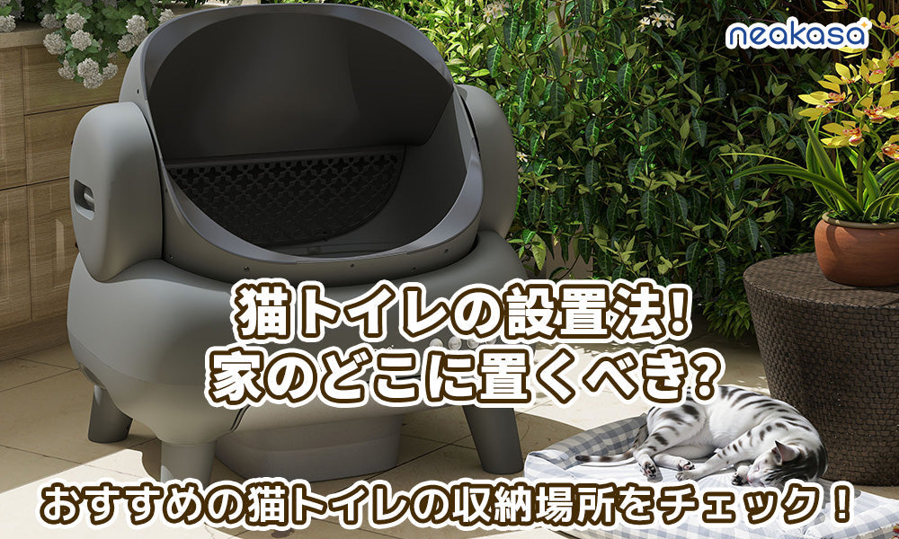 猫トイレの設置法！家のどこに置くべき？おすすめの猫トイレの設置場所をチェック！